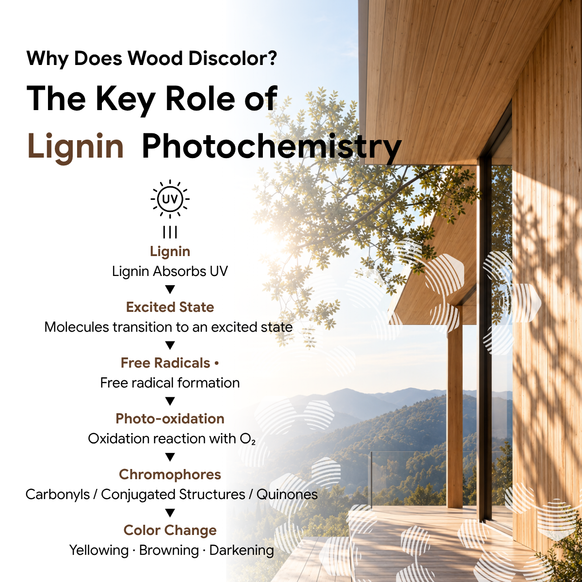 Chiguard Wood 2