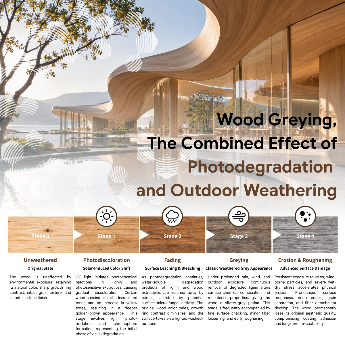 Chiguard Wood 3